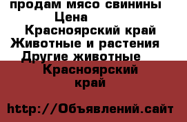 продам мясо свинины › Цена ­ 170 - Красноярский край Животные и растения » Другие животные   . Красноярский край